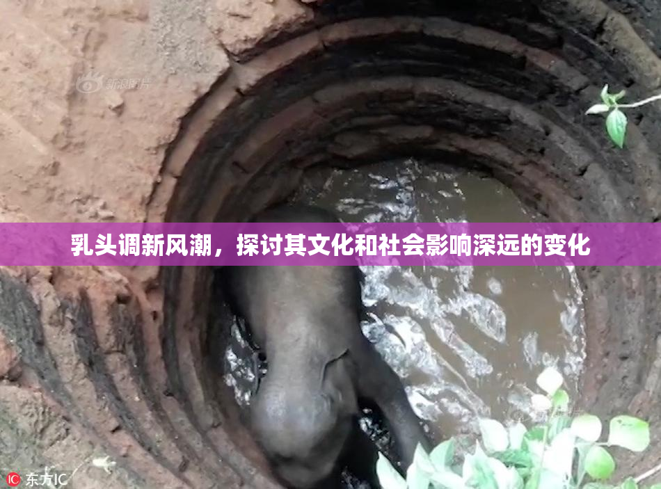 乳头调新风潮，探讨其文化和社会影响深远的变化