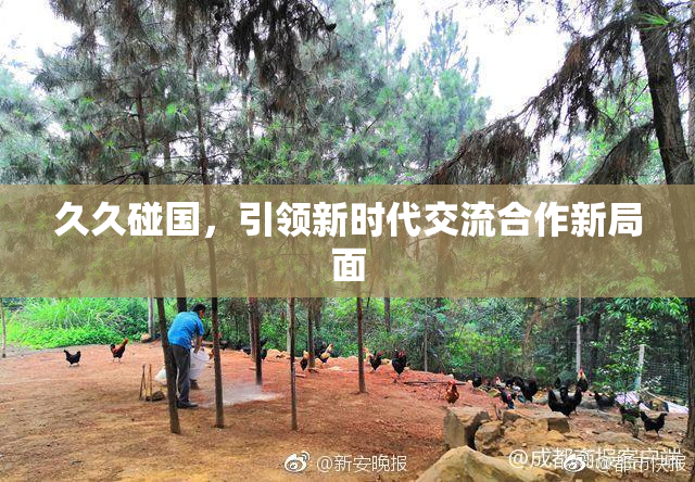 久久碰国，引领新时代交流合作新局面