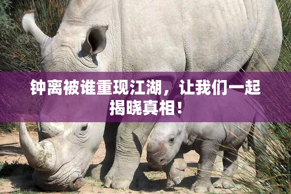 钟离被谁重现江湖，让我们一起揭晓真相！