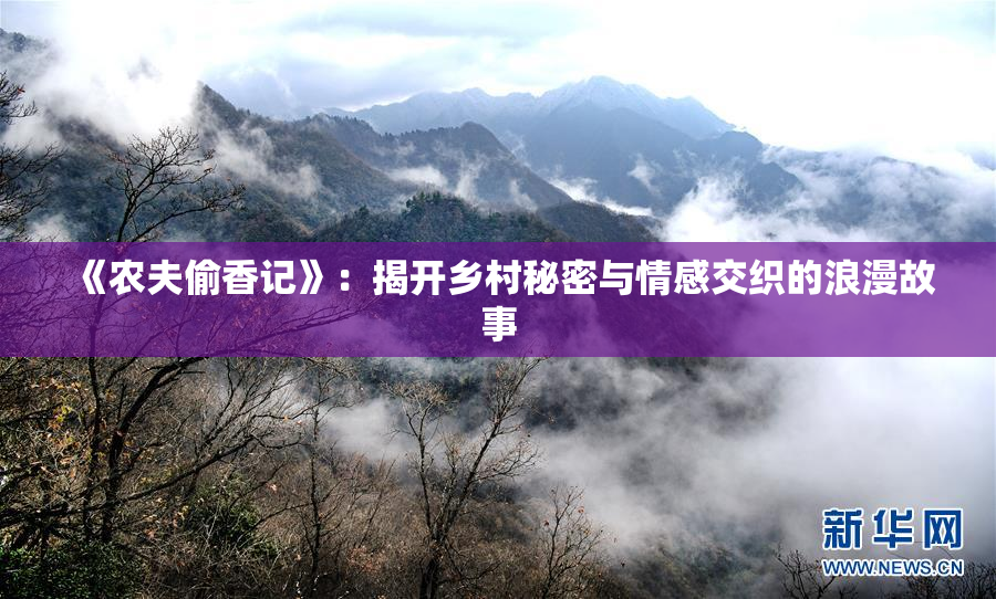 《农夫偷香记》：揭开乡村秘密与情感交织的浪漫故事