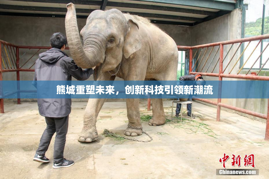 熊城重塑未来，创新科技引领新潮流