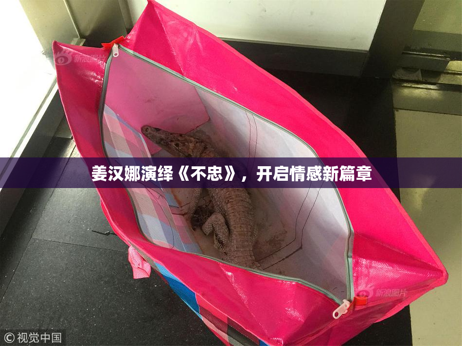 姜汉娜演绎《不忠》，开启情感新篇章