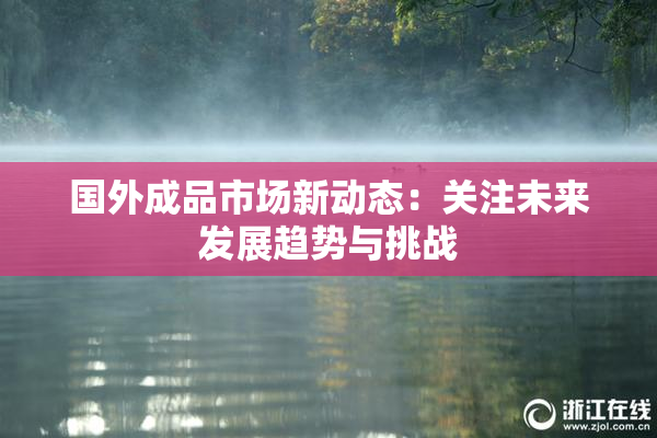 国外成品市场新动态：关注未来发展趋势与挑战