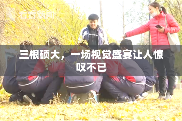 三根硕大，一场视觉盛宴让人惊叹不已