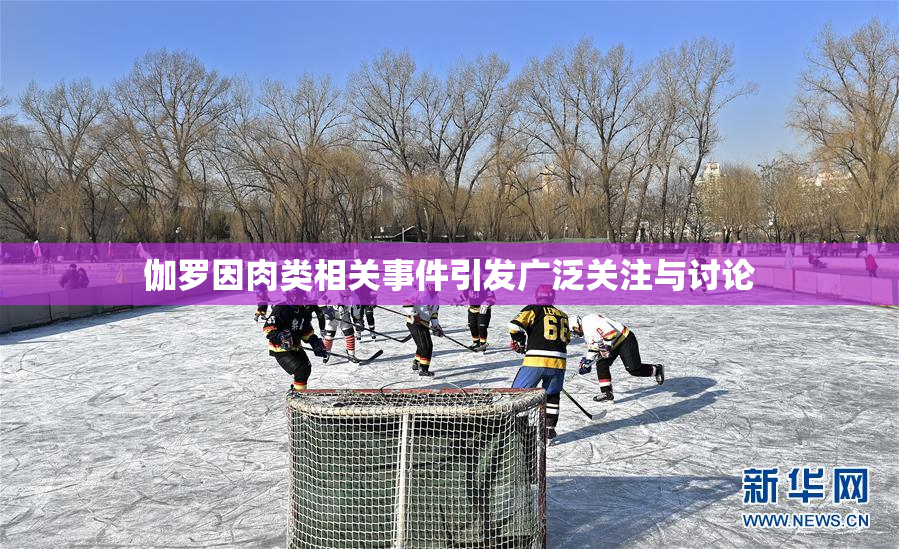 伽罗因肉类相关事件引发广泛关注与讨论