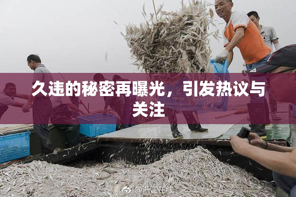 久违的秘密再曝光，引发热议与关注