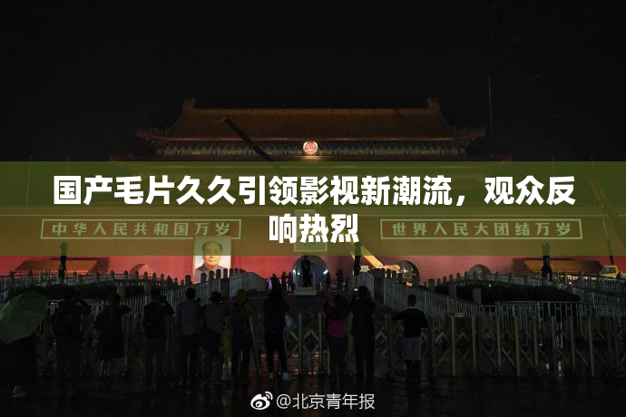 国产毛片久久引领影视新潮流，观众反响热烈