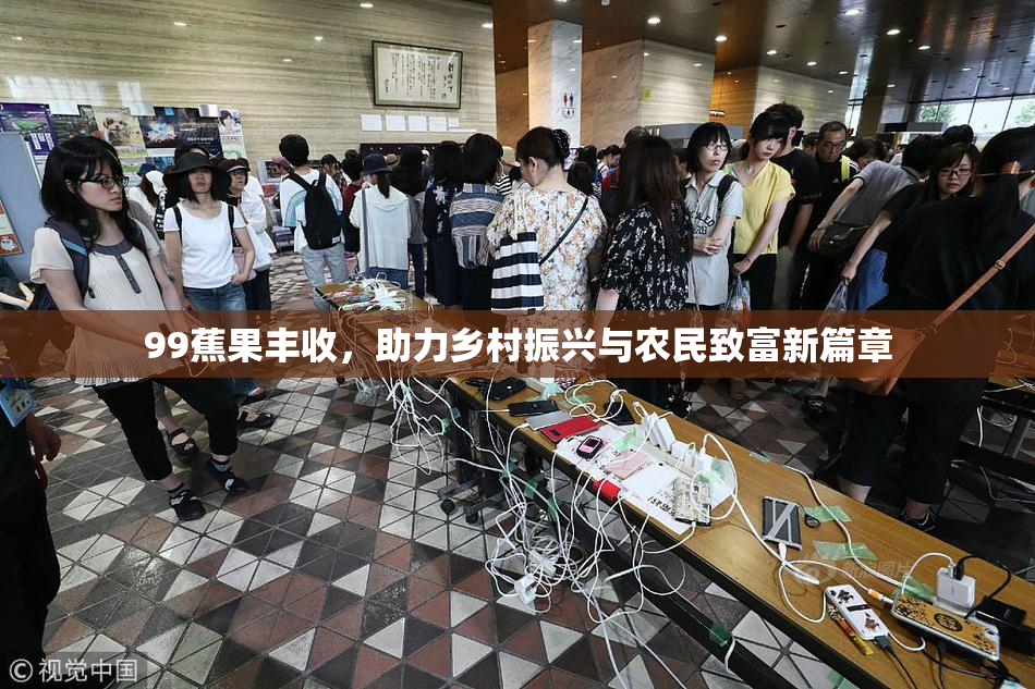 99蕉果丰收，助力乡村振兴与农民致富新篇章