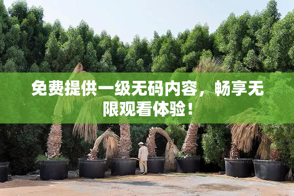 免费提供一级无码内容，畅享无限观看体验！