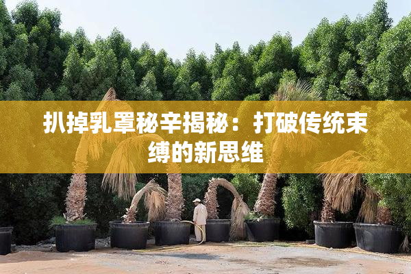 扒掉乳罩秘辛揭秘：打破传统束缚的新思维