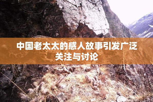 中国老太太的感人故事引发广泛关注与讨论