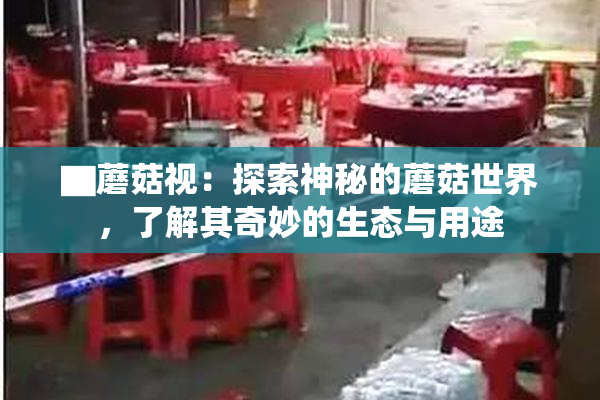 ▇蘑菇视：探索神秘的蘑菇世界，了解其奇妙的生态与用途