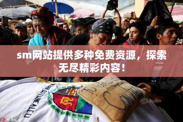 sm网站提供多种免费资源，探索无尽精彩内容！