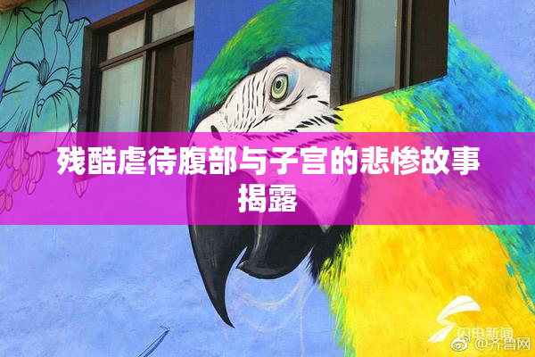 残酷虐待腹部与子宫的悲惨故事揭露