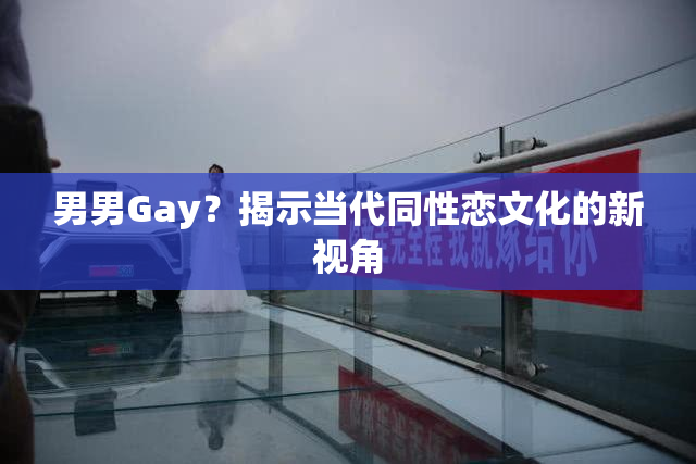 男男Gay？揭示当代同性恋文化的新视角