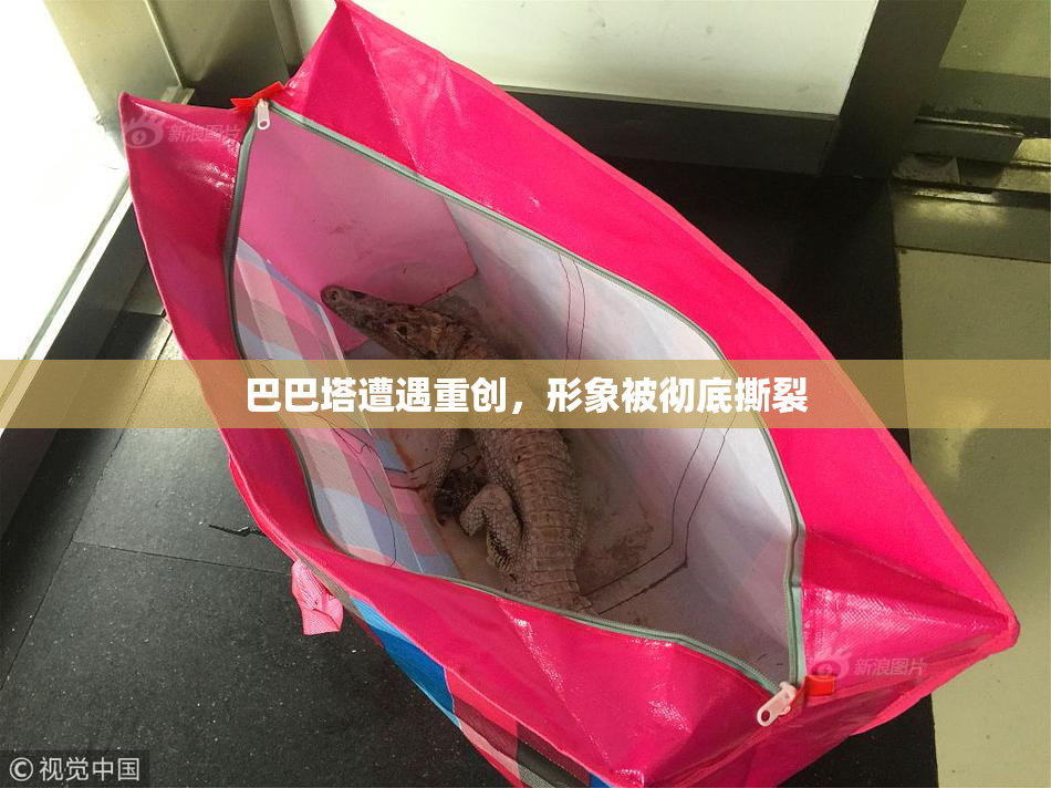 巴巴塔遭遇重创，形象被彻底撕裂