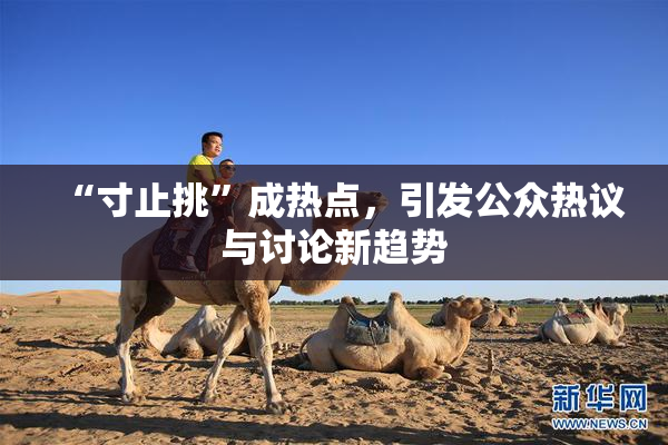 “寸止挑”成热点，引发公众热议与讨论新趋势