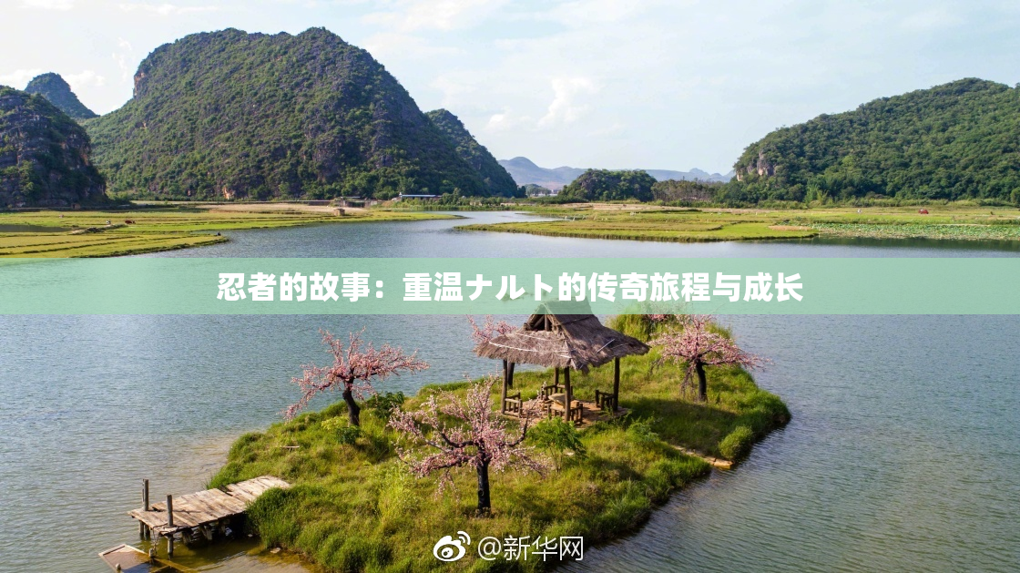 忍者的故事：重温ナルト的传奇旅程与成长