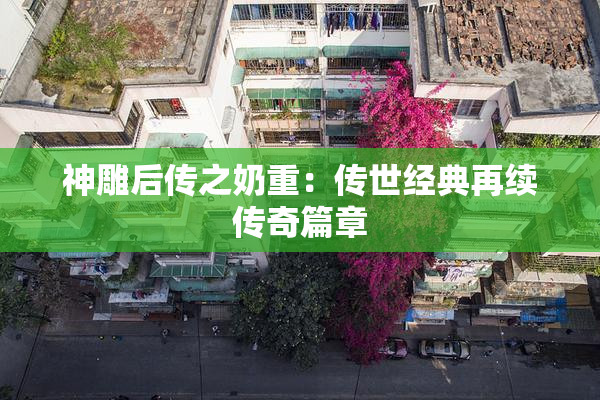 神雕后传之奶重：传世经典再续传奇篇章