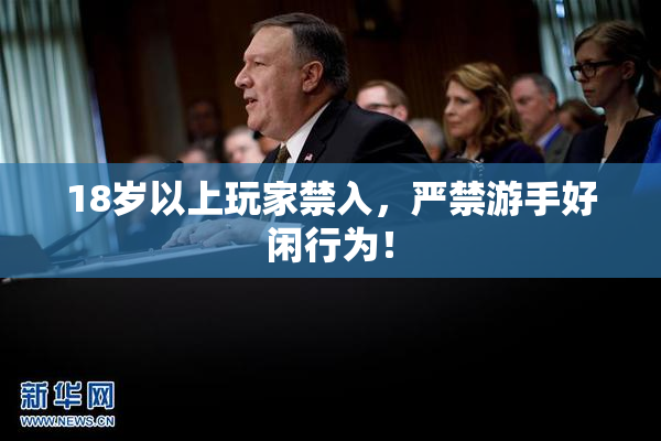 18岁以上玩家禁入，严禁游手好闲行为！