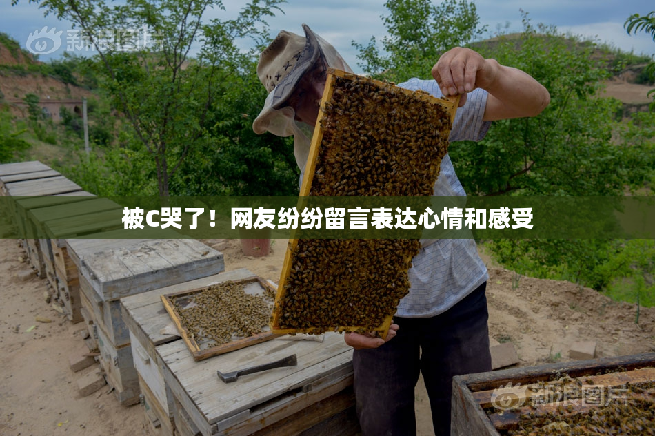 被C哭了！网友纷纷留言表达心情和感受