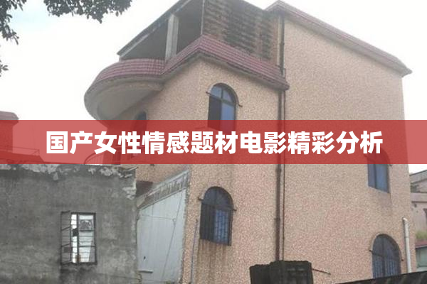 国产女性情感题材电影精彩分析