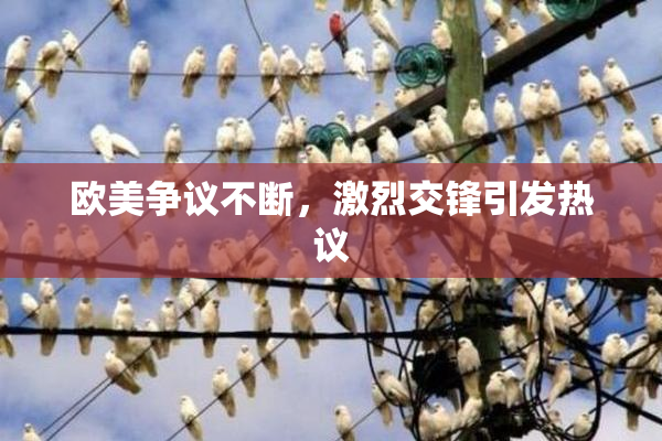 欧美争议不断，激烈交锋引发热议
