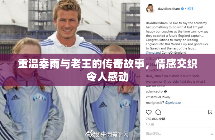 重温秦雨与老王的传奇故事，情感交织令人感动