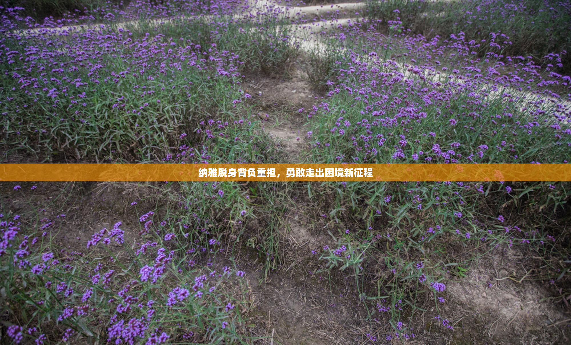 纳雅脱身背负重担，勇敢走出困境新征程