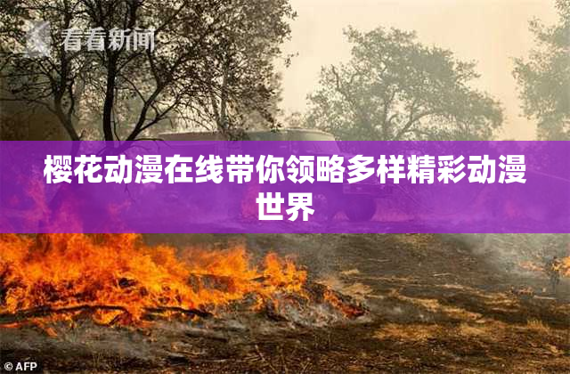 樱花动漫在线带你领略多样精彩动漫世界