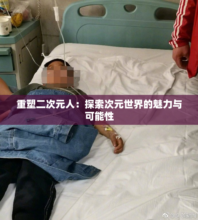 重塑二次元人：探索次元世界的魅力与可能性
