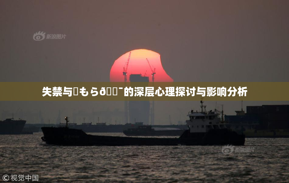 失禁与✿もら🔯的深层心理探讨与影响分析