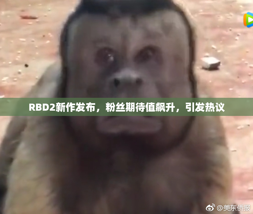 RBD2新作发布，粉丝期待值飙升，引发热议