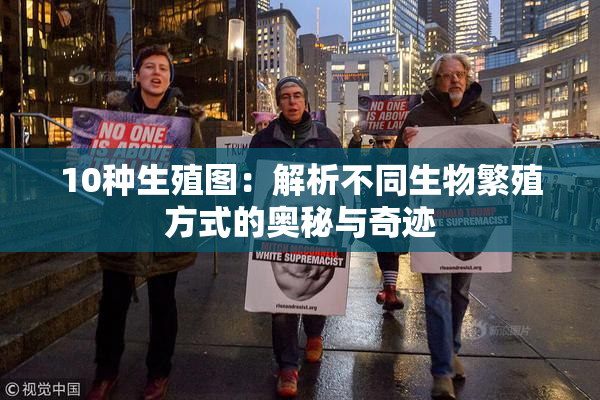 10种生殖图：解析不同生物繁殖方式的奥秘与奇迹