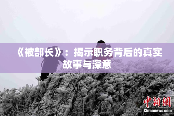 《被部长》：揭示职务背后的真实故事与深意
