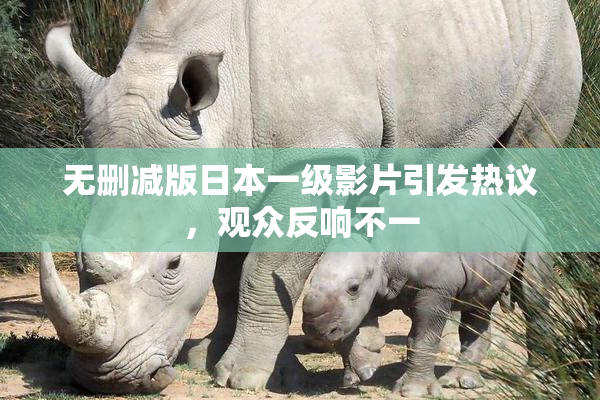 无删减版日本一级影片引发热议，观众反响不一