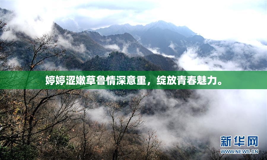 婷婷涩嫩草鲁情深意重，绽放青春魅力。