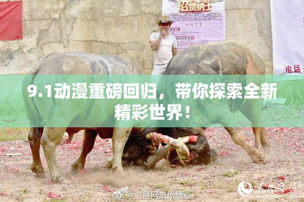9.1动漫重磅回归，带你探索全新精彩世界！