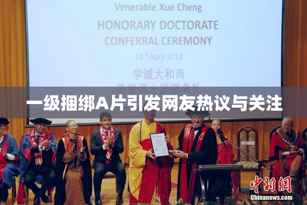 一级捆绑A片引发网友热议与关注