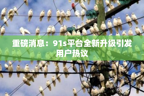 重磅消息：91s平台全新升级引发用户热议