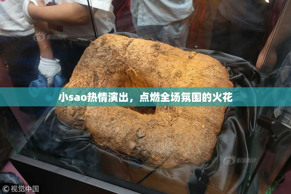 小sao热情演出，点燃全场氛围的火花