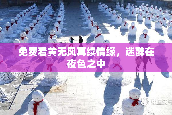 免费看黄无风再续情缘，迷醉在夜色之中