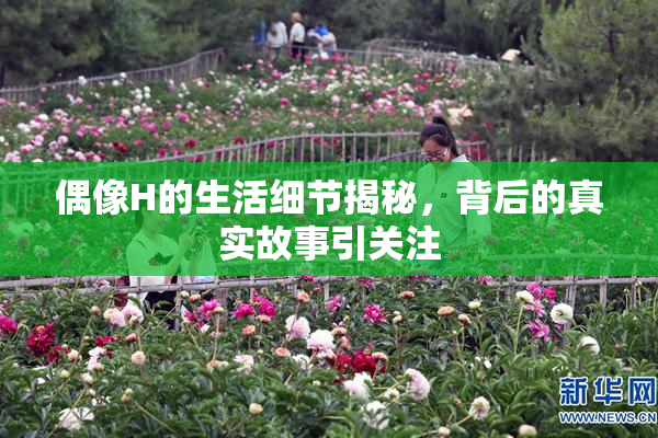 偶像H的生活细节揭秘，背后的真实故事引关注