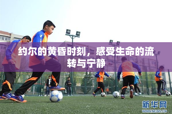 约尔的黄昏时刻，感受生命的流转与宁静