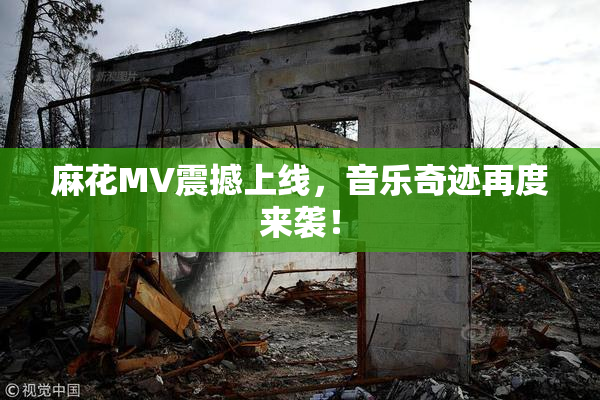 麻花MV震撼上线，音乐奇迹再度来袭！