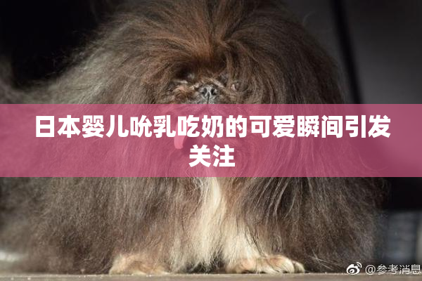 日本婴儿吮乳吃奶的可爱瞬间引发关注