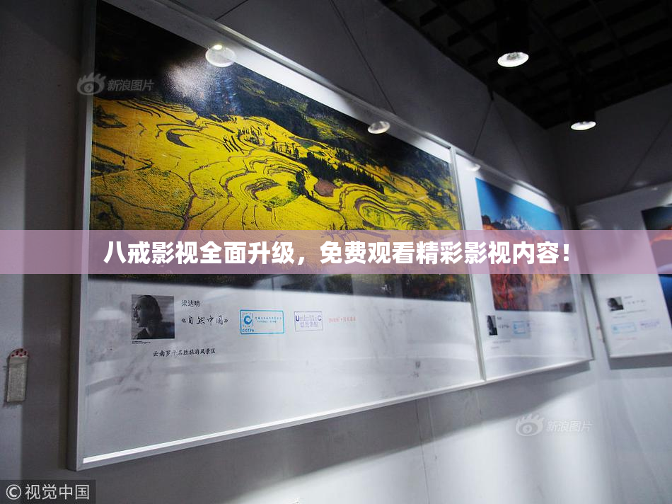 八戒影视全面升级，免费观看精彩影视内容！
