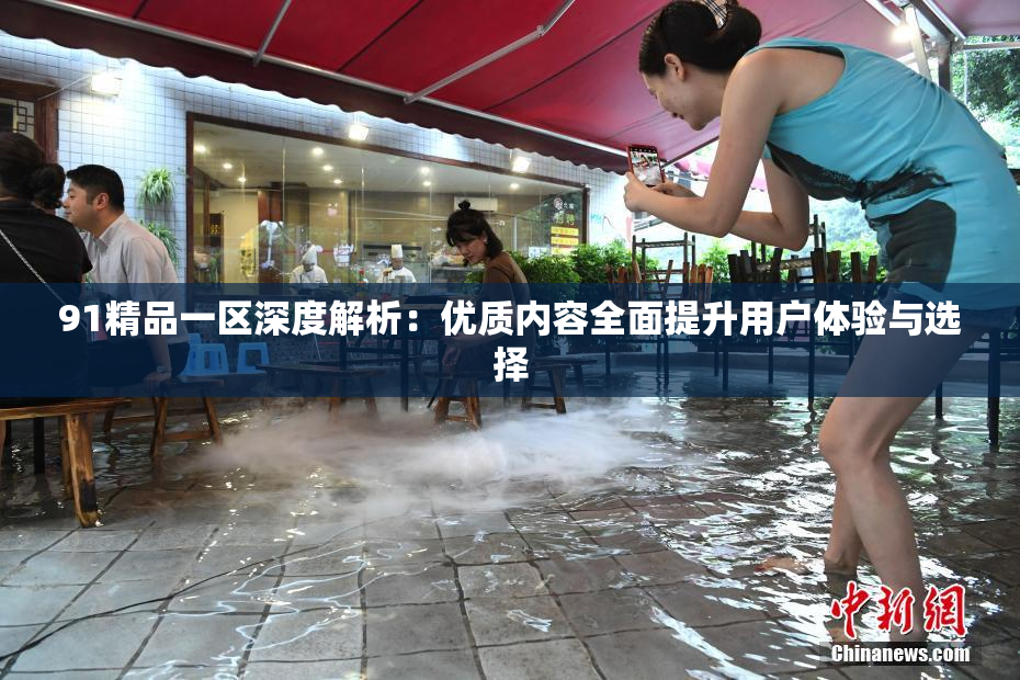 91精品一区深度解析：优质内容全面提升用户体验与选择