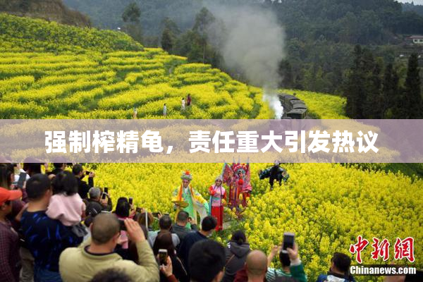 强制榨精龟，责任重大引发热议