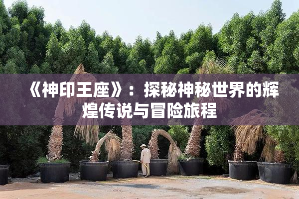 《神印王座》：探秘神秘世界的辉煌传说与冒险旅程